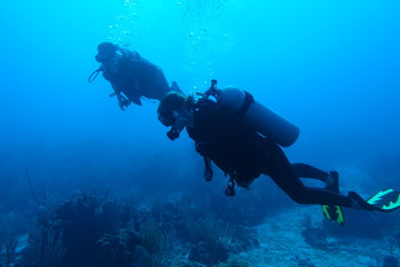 Fototapeta na wymiar Diving in Puerto Rico