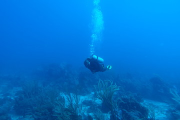 Diving in Puerto Rico