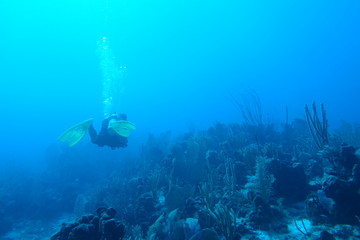 Diving in Puerto Rico