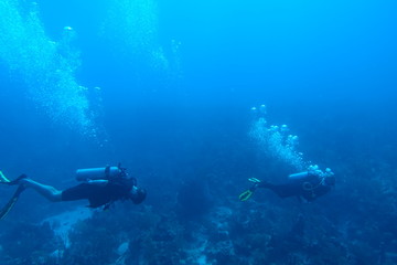 Diving in Puerto Rico