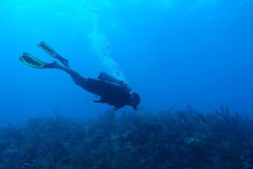 Diving in Puerto Rico