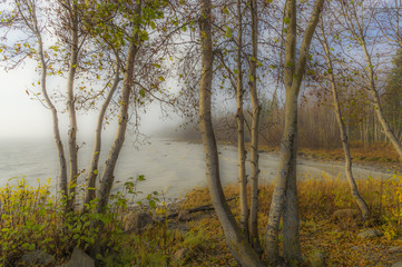 Obraz na płótnie Canvas カナダの秋グレートスレーブ湖