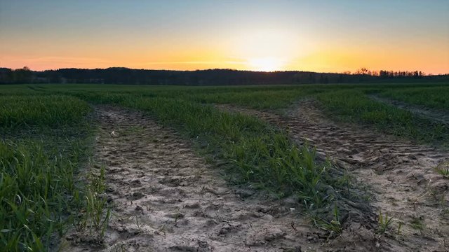 Colorful tranquil sunset over a spring field time lapse.