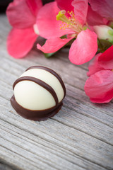 Special fine praline on a wooden background