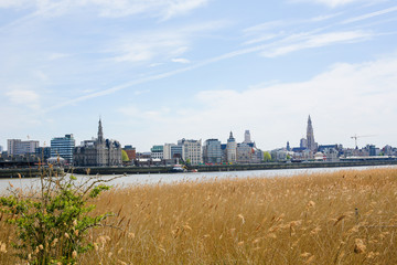 View on Antwerp by the River Scheldt in Flanders, Belgium