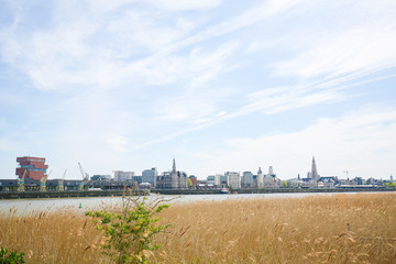 View on Antwerp by the River Scheldt in Flanders, Belgium