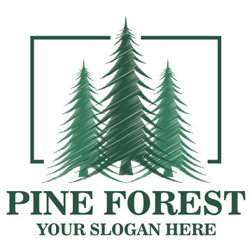 Pine forest logo template