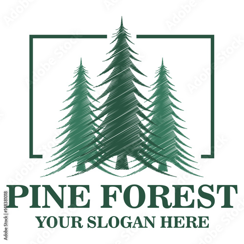 "Pine forest logo template" photo libre de droits sur la banque d