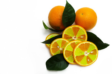 Multicolored oranges with green leaves isolated on white.