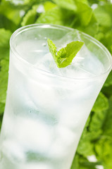 iced mint water