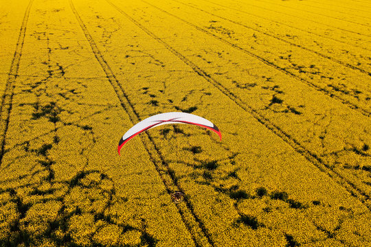 Vue aérienne parapente champs de colza