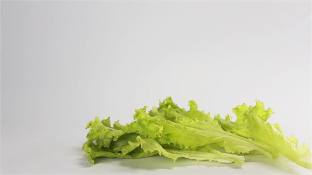 side dish falling and splashing on white surface with white-gray isolated background in slow motion shot on Phantom Flex rapidly. Bouncing fresh tasty green meal.