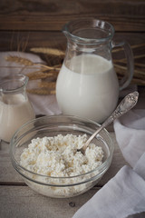 Fresh dairy products. Milk, cottage cheese, sour cream and wheat on rustic wooden background.