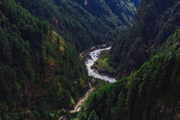Pure mountain river
