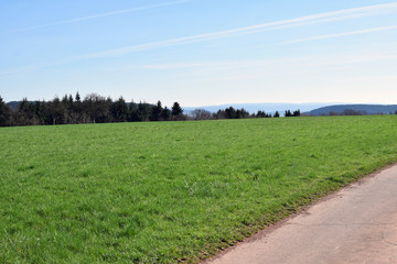 Feld in der Eifel