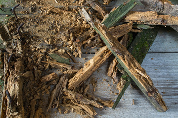 Old heap of old broken wood boards with old nails. Texture background. Pile of wood