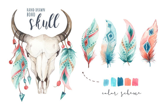 Watercolor bohemian cow skull and feather. Western mammals. Boho hipster deer boho decoration print antlers. flowers, feathers.