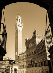Fototapeta premium Torre del Mangia