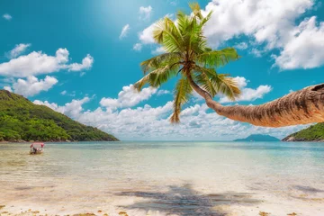 Raamstickers Tropisch strand Palmboom op geweldig tropisch strand. Vintage verwerkt.