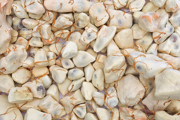 Baobab fruit (Adansonia digitata), background, pulp and powder, superfood