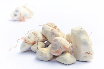 Baobab fruit (Adansonia digitata) on white background, pulp and powder, superfood