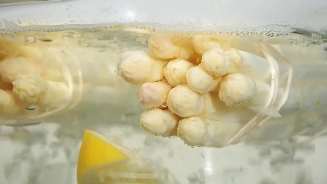 Spargel im Topf kochen