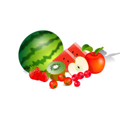 Harvest juicy fruit and berries, vector illustration isolated on white