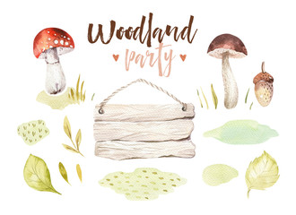 Forest elements witn mushrooms, branches, grassl for kindergarten, isolated illustration for children , pattern. Watercolor Hand drawn boho kids image Perfect fornursery poster