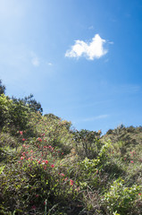 Mountains scenery with blue sky background  in summer 