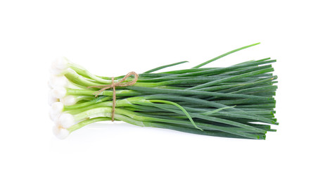 onions plant on white background