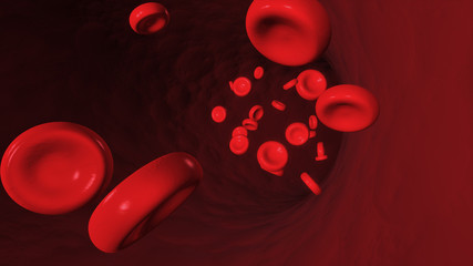 Red blood corpuscles move along the artery 3d illustration