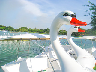 Obraz premium Pedal boats