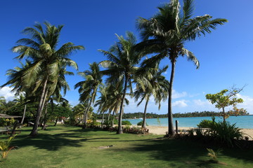 Fiji Ocean