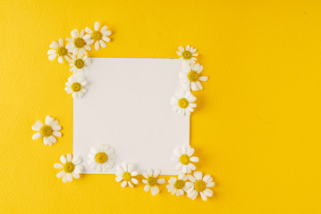daisy flowers on the paper card