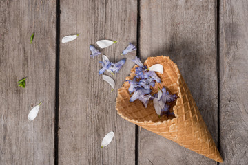 Top view of beautiful blue petals in wafer cone on wooden background