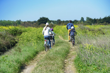 Back view of family riding bicycles on country track