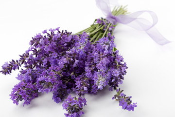 Studio shot of fresh lavender flower bouquet with a purple ribbon, over white background.