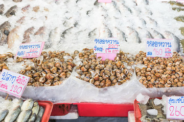 Spotted babylon shell sold in the market