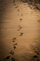 Footprints on the sand, beach in the afternoon sun. Find your path