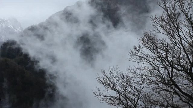 渓谷から発生する川霧