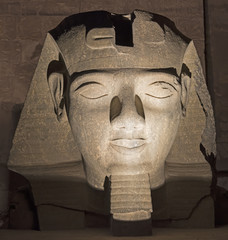 Fototapeta na wymiar Ramses II head at Luxor Temple at night