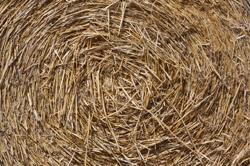 Closeup of hay bale