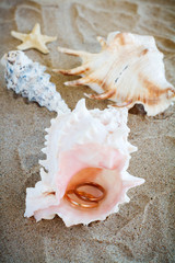 Wedding rings and cockleshells