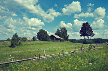 Russian  summer meadow