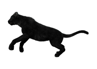 3D Rendering Black Panther on White