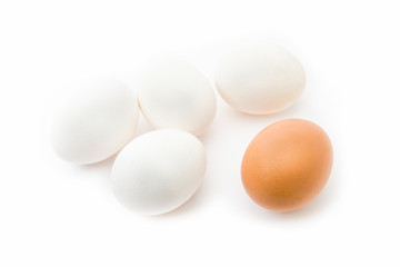 Grupo de huevo blancos y uno moreno
