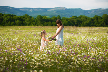 Mom and daughter on a picnic in the chamomile field. Two beautiful blondes in chamomile field on a background of horse. Mother and daughter embracing in the chamomile field