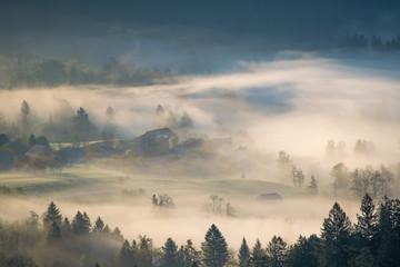 Foggy morning mist over alpine valley