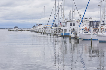 docked fishing boats