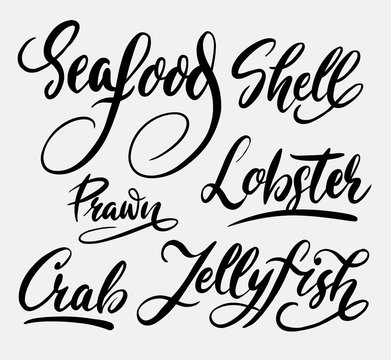 Seafood and lobster hand written typography. Good use for logotype, symbol, cover label, product, brand, poster title or any graphic design you want. Easy to use or change color
